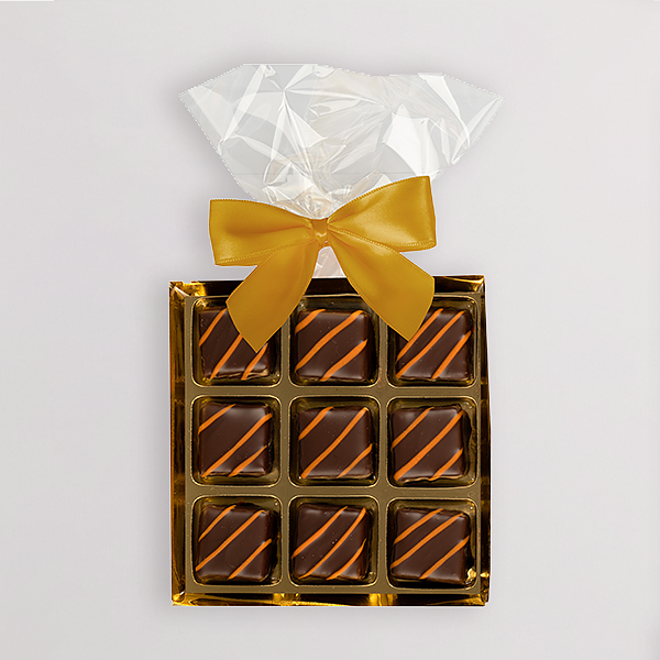 Feinste Dominosteine Orange-Ingwer (125 g)